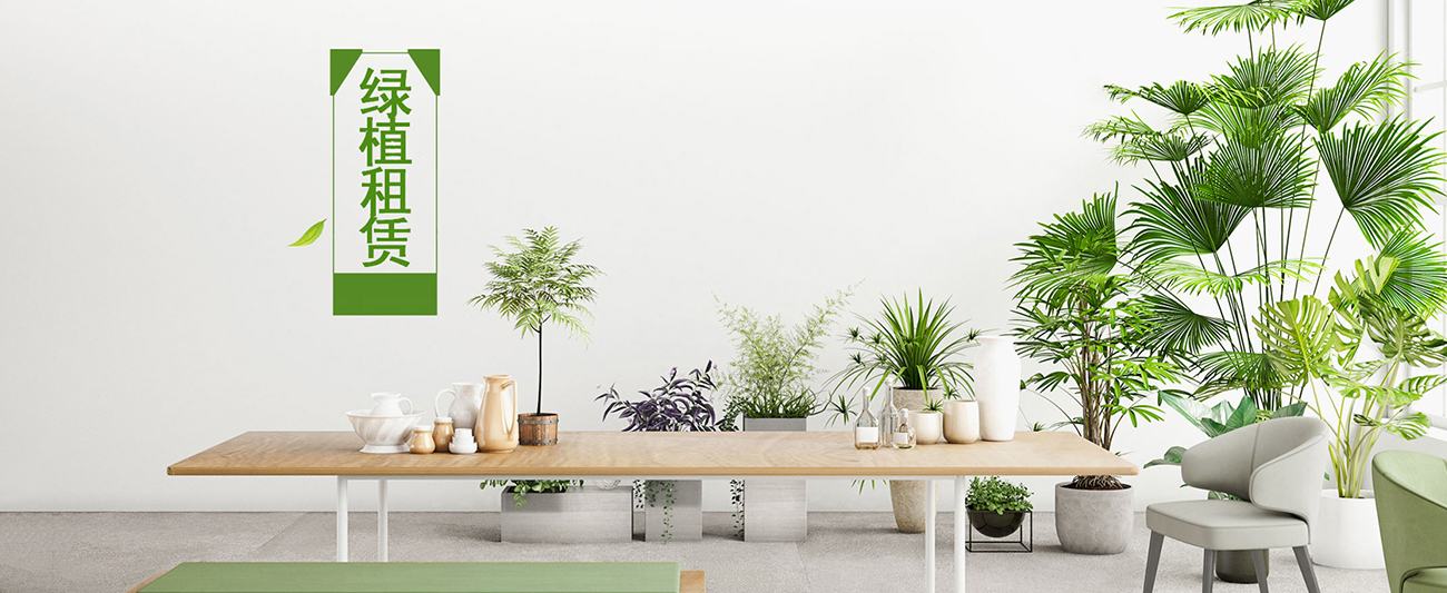 上海青遇园艺景观有限公司